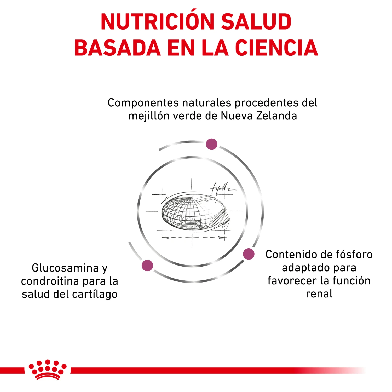 VD Feline Mobility ROYAL CANIN VD Feline Mobility -Catit Ventas BENEFICIOS 1 62fce5ad5310f