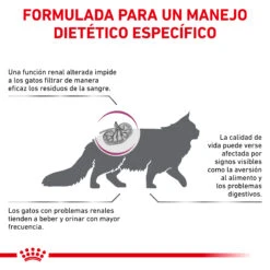ROYAL CANIN VD Feline Renal -Catit Ventas BENEFICIOS 2 62fce62af3c12