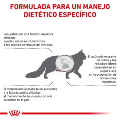 ROYAL CANIN VD Feline Hepatic -Catit Ventas BENEFICIOS 62fce0fdec473