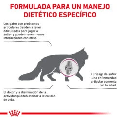ROYAL CANIN VD Feline Mobility 4 ROYAL CANIN VD Feline Mobility -Catit Ventas BENEFICIOS 62fce5afc7622