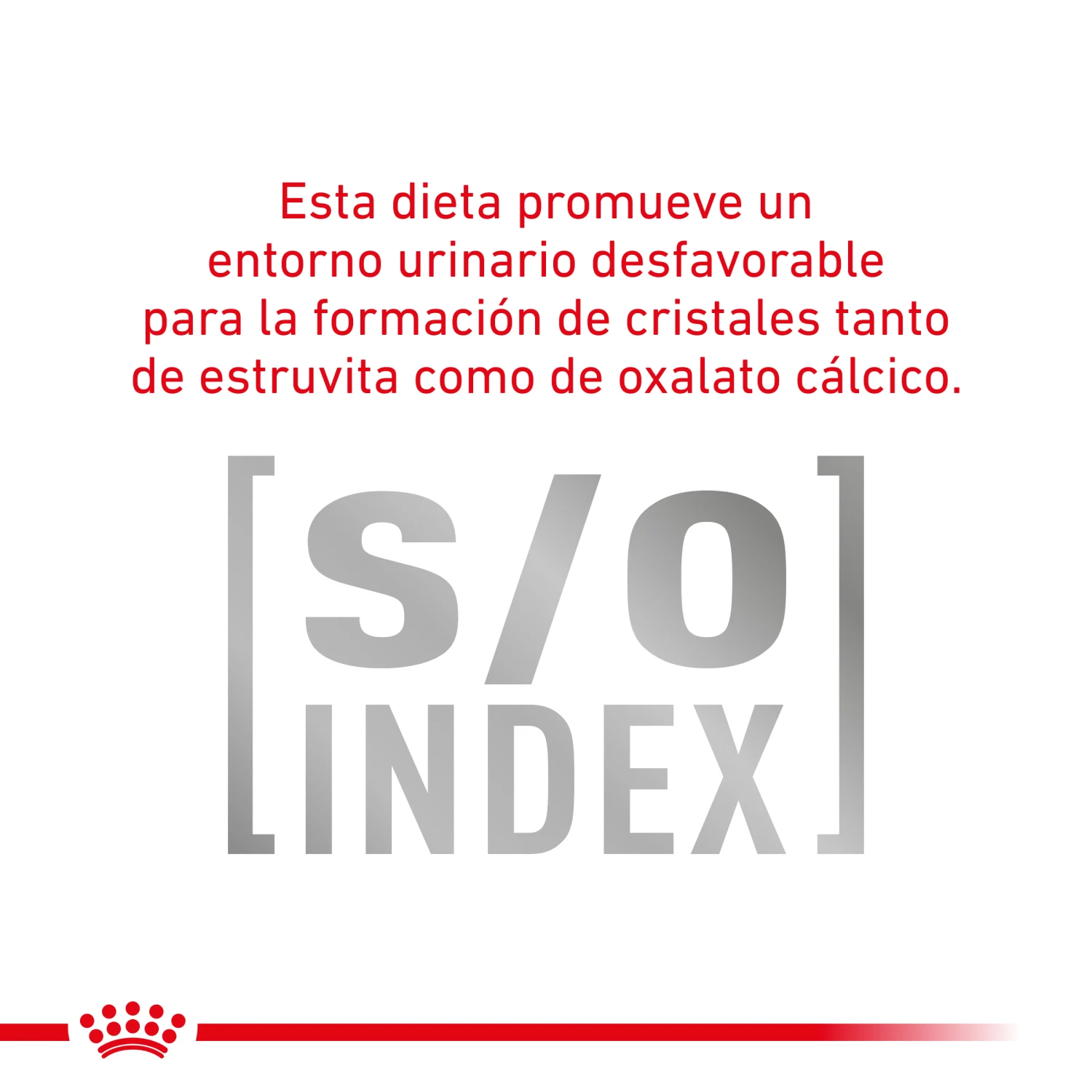 VD Feline Mobility ROYAL CANIN VD Feline Mobility -Catit Ventas BENFICIOS 3 62fce5b122165