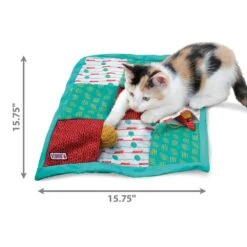 KONG Puzzle De Bolsillos Para Gatos -Catit Ventas CPZ4 4 20210211082341 20210211082405 1000x1000 624153c3a5330