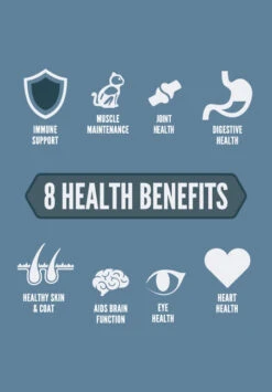 Orijen Pienso Guardian 8 De Pollo Para Gatos -Catit Ventas Guardian2 62a1fd7c14d8c