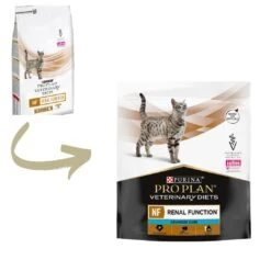 NF Renal Function ST/OX -Catit Ventas PPVD 62b0e1b5d61b2