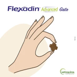 Vetoquinol Flexadin Advanced Gato 2 Vetoquinol Flexadin Advanced Gato -Catit Ventas PW126 CarruselFlexadinAdvancedGato 2 638490a3565aa
