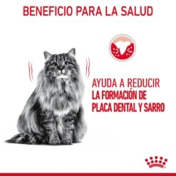 ROYAL CANIN Oral Care Pienso De Gato Adulto Con Sensibilidad Oral -Catit Ventas RC FCN DentalCare CV 1 es ES 649d6bfb758b1