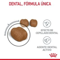 ROYAL CANIN Oral Care Pienso De Gato Adulto Con Sensibilidad Oral -Catit Ventas RC FCN DentalCare CV 2 es ES 649d6bfb79b54