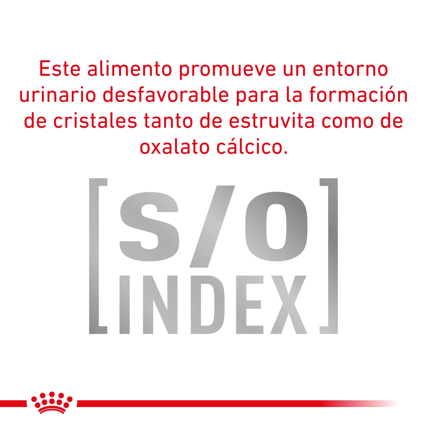 VD Feline Calm para Gatos con estrés ROYAL CANIN VD Feline Calm Para Gatos Con Estrés -Catit Ventas RC VET DRY CatCalm CV 5 es ES 62fce2c5cc97f