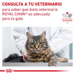 ROYAL CANIN VD Feline Calm Para Gatos Con Estrés 10 ROYAL CANIN VD Feline Calm Para Gatos Con Estrés -Catit Ventas RC VET DRY CatCalm CV 9 es ES 62fce2c9f180c