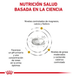 ROYAL CANIN VD Feline Urinary Moderate Calorie -Catit Ventas RC VET DRY CatUrinarySOMC CV Eretailkit 2 es ES 62fce4ac3cb16