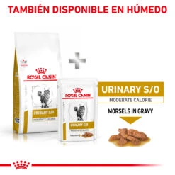 ROYAL CANIN VD Feline Urinary Moderate Calorie -Catit Ventas RC VET DRY CatUrinarySOMC CV Eretailkit 6 es ES 62fce4b102b1f