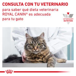 ROYAL CANIN VD Feline Urinary Moderate Calorie -Catit Ventas RC VET DRY CatUrinarySOMC CV Eretailkit 7 es ES 62fce4b1f1879