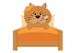 Suplemento Nutracéutico Para Gatos Multiva -Catit Ventas Viramax 636cc9a3a6471