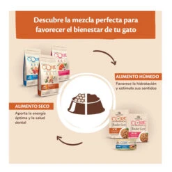 Wellness Core Adult Ocean Salmón Y Atún Pienso Para Gatos -Catit Ventas Wellness Core pienso gatos WEL10831 1