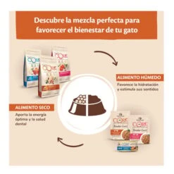 Wellness Core Adult Pollo Y Pavo Pienso Para Gatos -Catit Ventas Wellness Core pienso gatos WEL10831 2