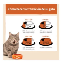 Wellness Core Adult Ocean Salmón Y Atún Pienso Para Gatos -Catit Ventas Wellness Core pienso gatos WEL10831 2 1