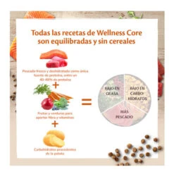 Wellness Core Adult Ocean Salmón Y Atún Pienso Para Gatos -Catit Ventas Wellness Core pienso gatos WEL10831 P 1