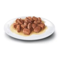 Concept For Life Sterilised Cats En Salsa -Catit Ventas adult sauce shop 8