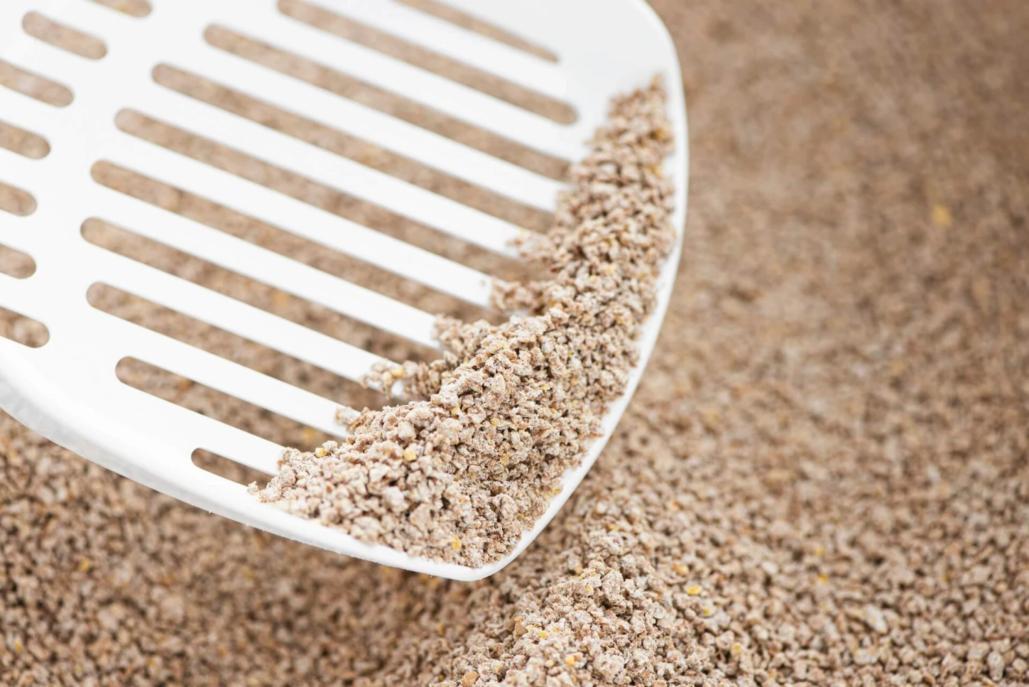 Eco Life Multichat Fibra De Madera Eco Life Multichat Fibra De Madera -Catit Ventas arena ecolife 6380b179464a5