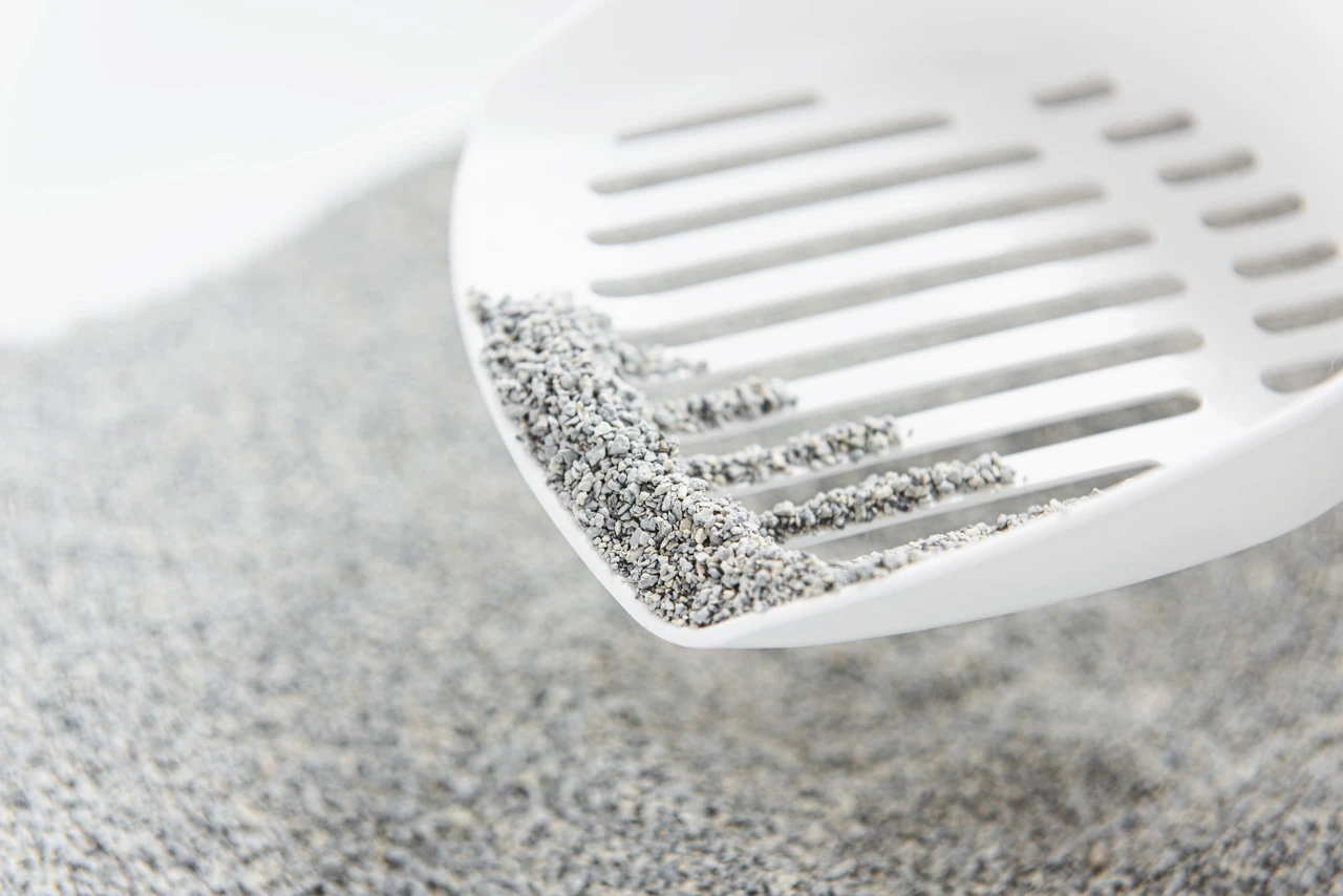 Arena OdourLock Arena OdourLock -Catit Ventas arenas odourlock 6380b1b58ed61