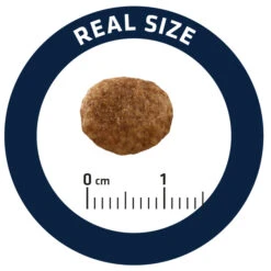 Advance Cat Urinary Stress 4 Advance Cat Urinary Stress -Catit Ventas cat urinary stress 5