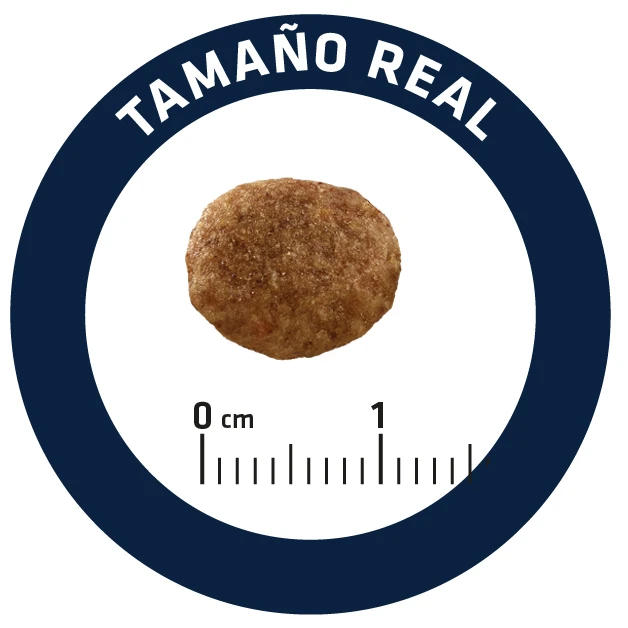 Cat Urinary Stress Advance Cat Urinary Stress -Catit Ventas cat urinary stress 6