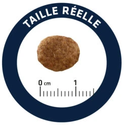 Advance Cat Urinary Stress 6 Advance Cat Urinary Stress -Catit Ventas cat urinary stress 7