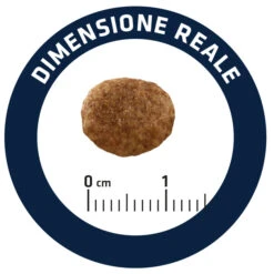 Advance Cat Urinary Stress 7 Advance Cat Urinary Stress -Catit Ventas cat urinary stress 8