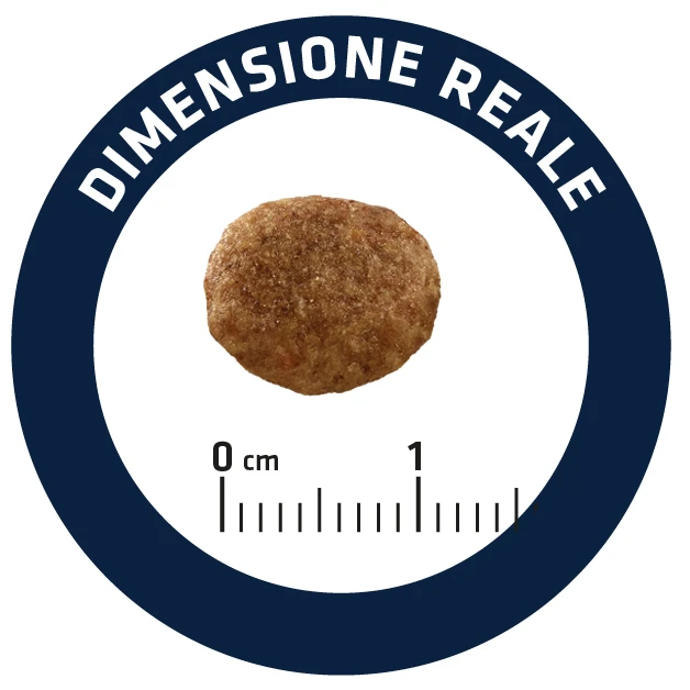 Cat Urinary Stress Advance Cat Urinary Stress -Catit Ventas cat urinary stress 8