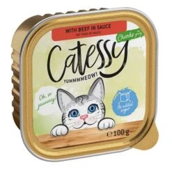 Catessy En Tarrinas 64 X 100 G - Pack Mixto -Catit Ventas catessy chunks beefinsauce 100g 1000x1000 2