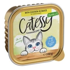 Catessy En Tarrinas 64 X 100 G - Pack Mixto -Catit Ventas catessy chunks chickeninsouce 100g 1000x1000 9