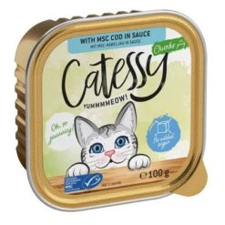 Catessy En Tarrinas 64 X 100 G - Pack Mixto -Catit Ventas catessy chunks codinsauce 100g 1000x1000 0