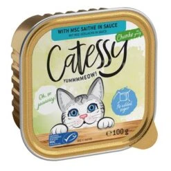 Catessy En Tarrinas 64 X 100 G - Pack Mixto -Catit Ventas catessy chunks saitheinsauce 100g 1000x1000 8