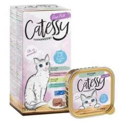 Catessy En Tarrinas 64 X 100 G - Pack Mixto -Catit Ventas catessy finepate boxtray g p l m 8x100g 1000x1000 7