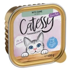 Catessy En Tarrinas 64 X 100 G - Pack Mixto -Catit Ventas catessy finepate game 100g 1000x1000 2