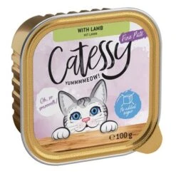 Catessy En Tarrinas 64 X 100 G - Pack Mixto -Catit Ventas catessy finepate lamb 100g 1000x1000 4