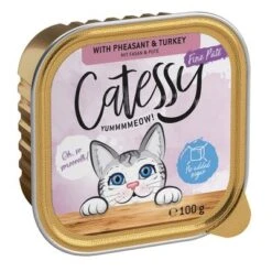Catessy En Tarrinas 64 X 100 G - Pack Mixto -Catit Ventas catessy finepate pheasant turkey 100g 1000x1000 0