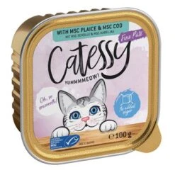Catessy En Tarrinas 64 X 100 G - Pack Mixto -Catit Ventas catessy finepate plaicecod 100g 1000x1000 2