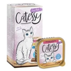 Catessy En Tarrinas 64 X 100 G - Pack Mixto -Catit Ventas catessy tray feine pastete 7
