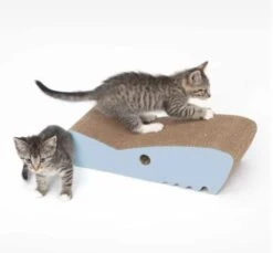 Catit Zoo Rascador Tiburón 3 Catit Zoo Rascador Tiburón -Catit Ventas catit shark scratcher 64a9d7a78a54e