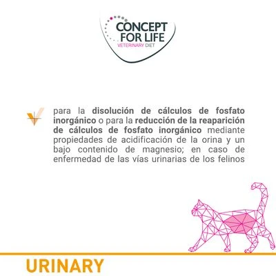 Concept for Life Veterinary Diet Urinary con vacuno para gatos Concept For Life Veterinary Diet Urinary Con Vacuno Para Gatos -Catit Ventas cfl katze board urinary es 5