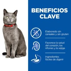 Hill's Hill’s Science Plan Mature Adult 7+ Pollo Pienso Para Gatos -Catit Ventas comida gato hills mature no grain HIL605369 M JN23202