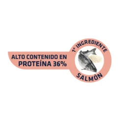 Affinity Advance Sensitive Adult Salmón Y Arroz Pienso Para Gatos -Catit Ventas comida gatos advance affinity adult salmon arroz 52059 M 1