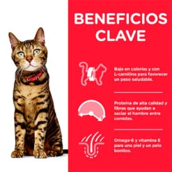 Hill's Science Plan Light Adult Pollo Pienso Para Gatos -Catit Ventas comida gatos hills adult light pollo newpack beneficios HIL7520DA M