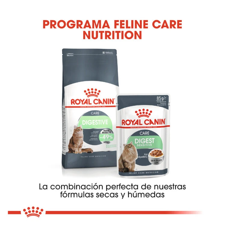 Royal Canin Adult Digestive pienso para gatos Royal Canin Adult Digestive Pienso Para Gatos -Catit Ventas comida gatos royal canin adullt digestive care ROY317012 M 4