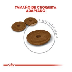 Royal Canin Adult Digestive Pienso Para Gatos 4 Royal Canin Adult Digestive Pienso Para Gatos -Catit Ventas comida gatos royal canin adullt digestive care ROY317012 M 5