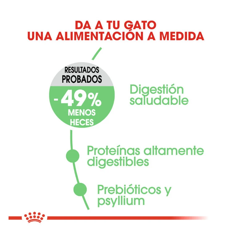 Royal Canin Adult Digestive pienso para gatos Royal Canin Adult Digestive Pienso Para Gatos -Catit Ventas comida gatos royal canin adullt digestive care ROY317012 M 6