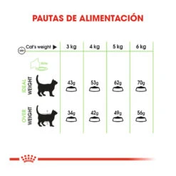 Royal Canin Adult Digestive Pienso Para Gatos 7 Royal Canin Adult Digestive Pienso Para Gatos -Catit Ventas comida gatos royal canin adullt digestive care ROY317012 M 8
