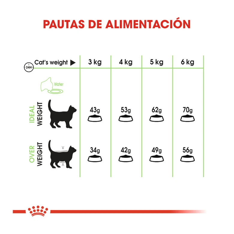 Royal Canin Adult Digestive pienso para gatos Royal Canin Adult Digestive Pienso Para Gatos -Catit Ventas comida gatos royal canin adullt digestive care ROY317012 M 8