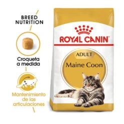 Royal Canin Adult Maine Coon Pienso Para Gatos